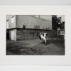 Gilles Favier | Mathieu Kassovitz | Tirage de tête – Image 7