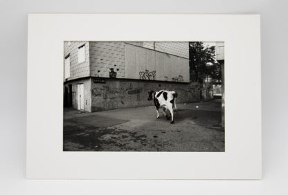 Gilles Favier | Mathieu Kassovitz | Tirage de tête – Image 7