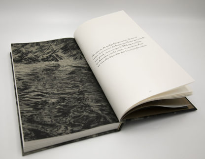 FLORE | L'odeur de la nuit était celle du jasmin I Signé – Image 7