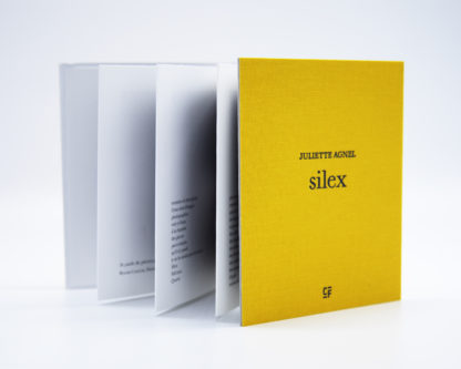 Juliette Agnel | Silex I Tirage de tête – Image 7