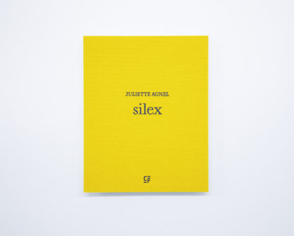 Juliette Agnel | Silex I Tirage de tête – Image 2