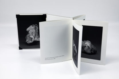 Juliette Agnel | Silex I Tirage de tête – Image 4