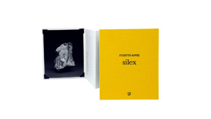 Juliette Agnel | Silex I Tirage de tête