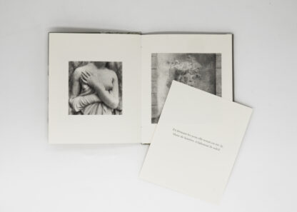 FLORE | Les rêveries de Lavinia | Tirages de tête – Image 5