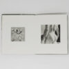 FLORE | Les rêveries de Lavinia | Tirages de tête – Image 6