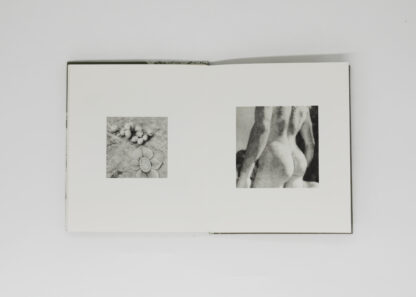 FLORE | Les rêveries de Lavinia | Tirages de tête – Image 6