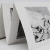 FLORE | Les rêveries de Lavinia | Tirages de tête – Image 9