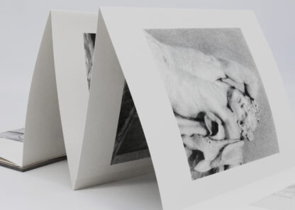 FLORE | Les rêveries de Lavinia | Tirages de tête – Image 9