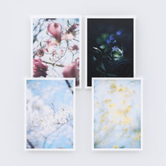 Mikiya Takimoto | Lumière (carte postales)