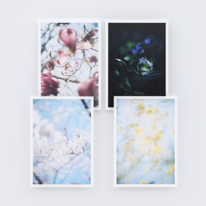 Mikiya Takimoto | Lumière (carte postales)